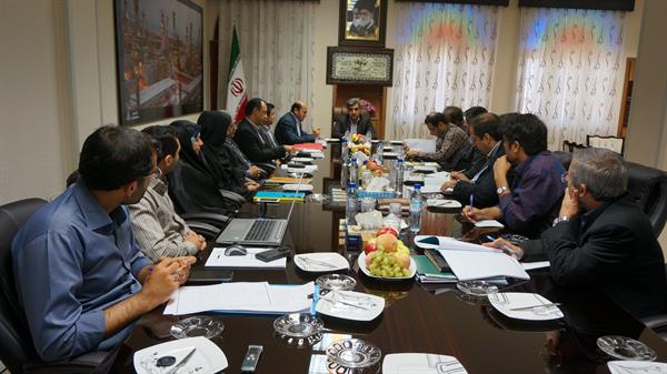 نشست کارگروه توسعه دولت الکترونیک در استان بوشهر برگزارشد