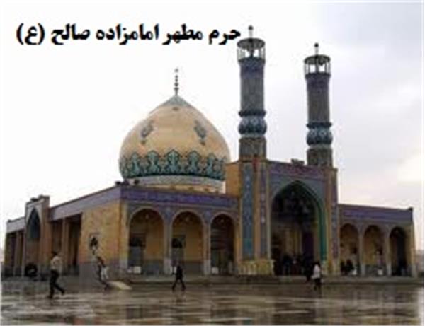 شهر16